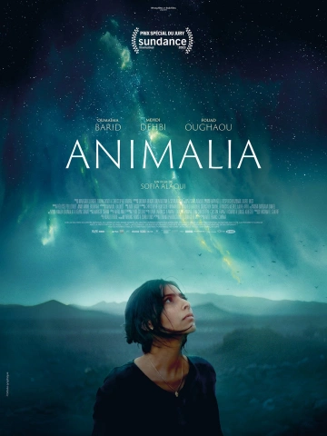 Animalia FRENCH WEBRIP 1080p 2023 FRENCH WEBRIP 1080p 2023
