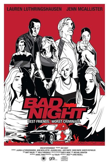 Bad Night TRUEFRENCH DVDSCR 2015