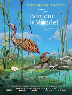 Bonjour le Monde! FRENCH WEBRIP 720p 2020