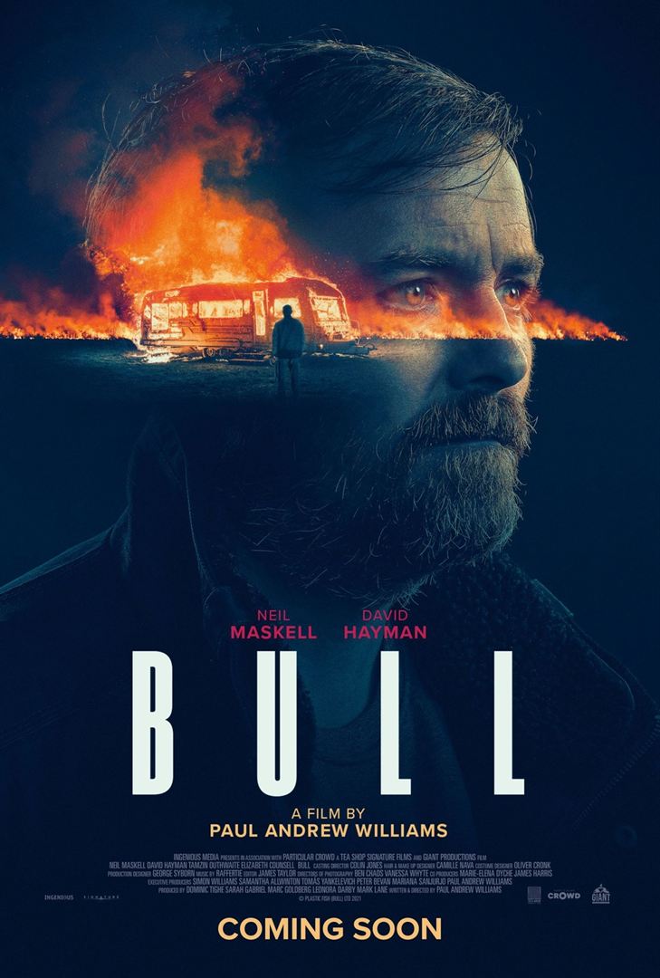 Bull VOSTFR WEBRIP 1080p 2022