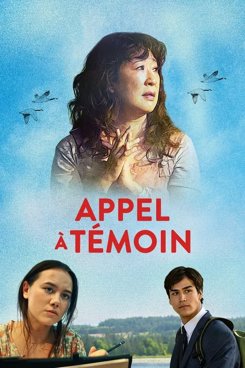 Can I Get a Witness? - Appel à Témoin FRENCH WEBRIP 720p 2024