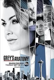 Grey's Anatomy S14E17 VOSTFR HDTV