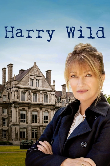 Harry Wild FRENCH S02E04 HDTV 2023