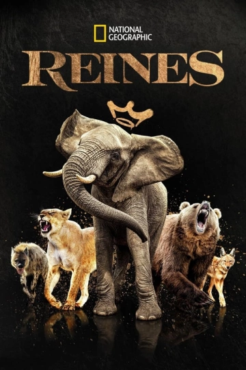 Reines Saison 1 FRENCH HDTV 2024