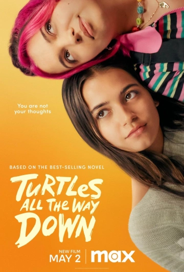 Turtles All The Way Down FRENCH WEBRIP 2024